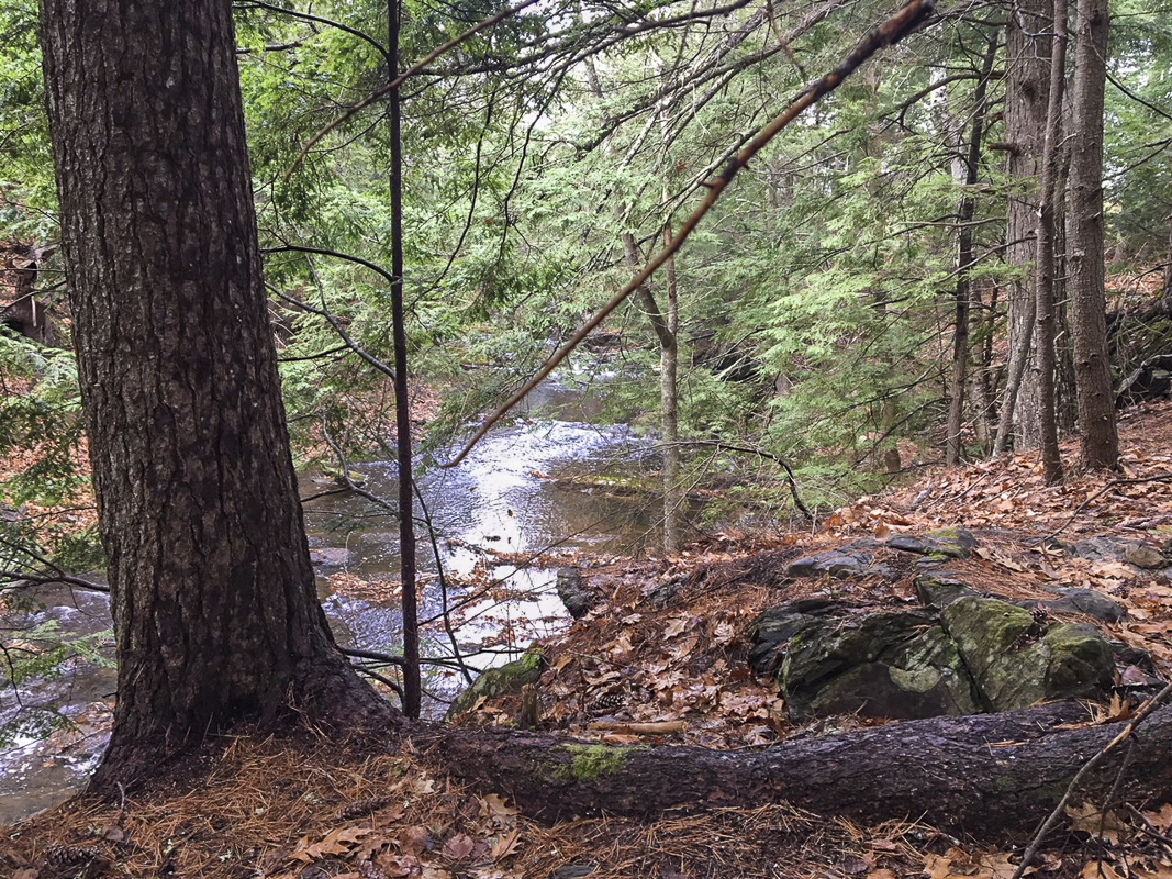 Belfast Rail Trail - Maine Trail Finder